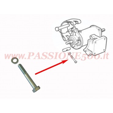 VITE CON RONDELLA PER FASCIA FISSAGGIO DINAMO FIAT 500 N D F L R