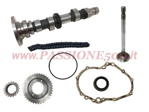 Timing Chain and Valves