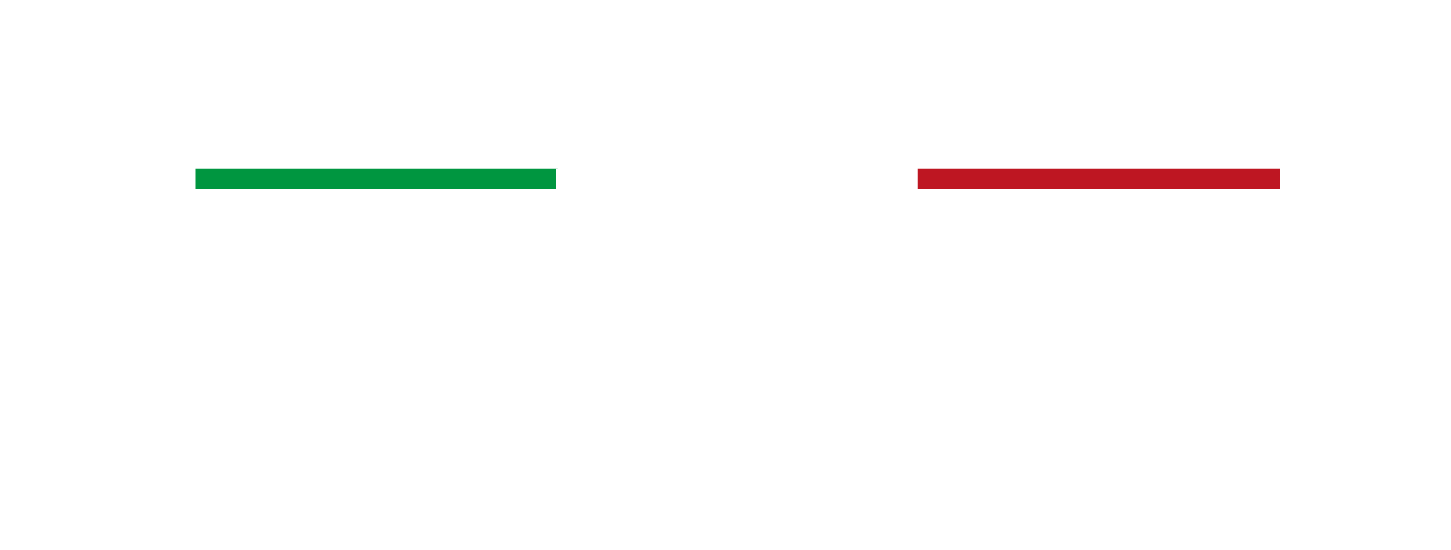 logo passione 500